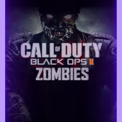  Cod Black Ops2 Zombies GARANTİ